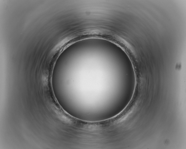 X0000091940778200709051522