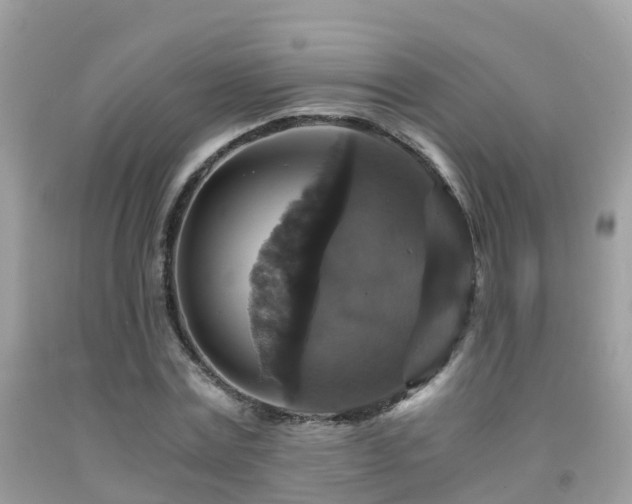 X0000091940779200709051522