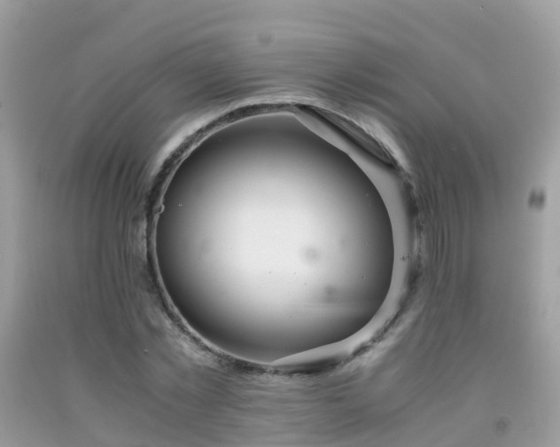 X0000091940781200709051522