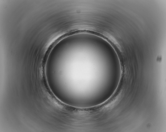 X0000091940782200709051522