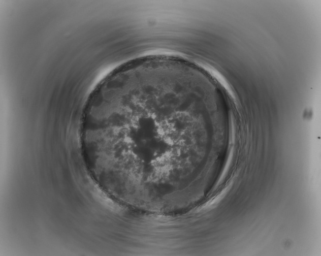 X0000091940783200709051522