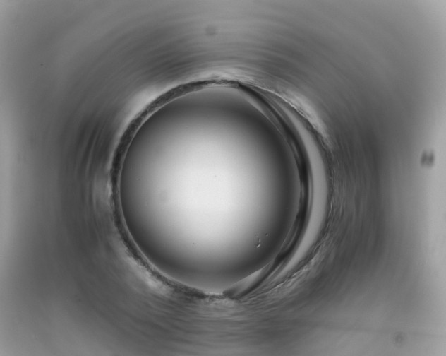 X0000091940784200709051521