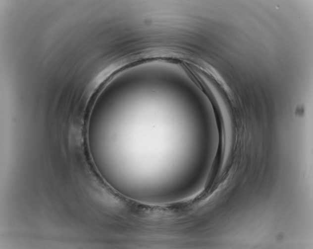 X0000091940786200709051521