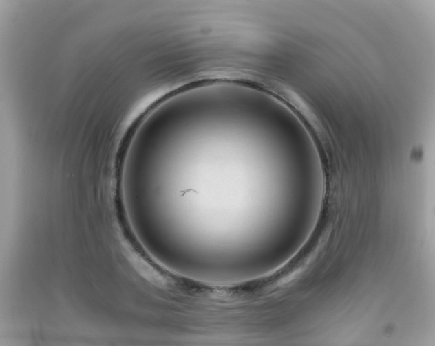 X0000091940787200709051521