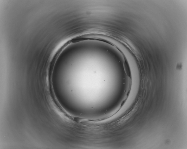 X0000091940788200709051521