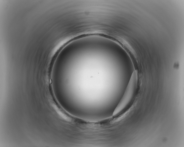 X0000091940789200709051521