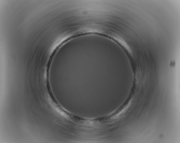 X0000091940790200709051521