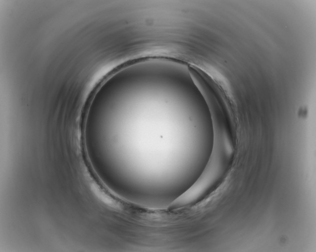 X0000091940792200709051521