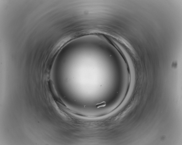 X0000091940793200709051521