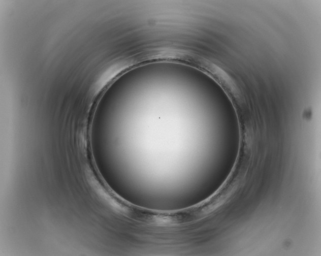 X0000091940794200709051521