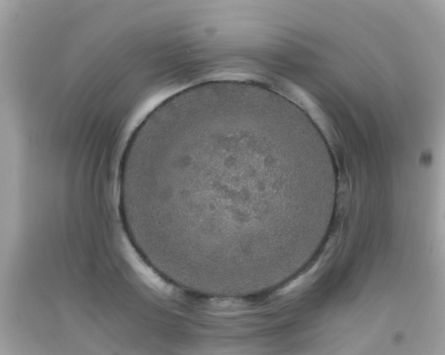 X0000091940795200709051521