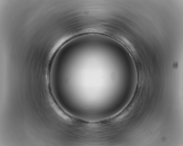 X0000091940796200709051521