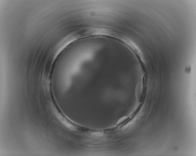 X0000091940798200709051521