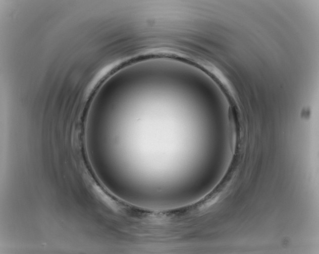 X0000091940799200709051521