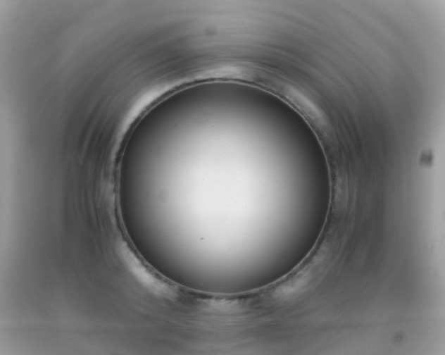 X0000091940800200709051521