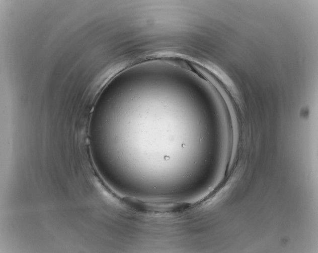 X0000091940801200709051521