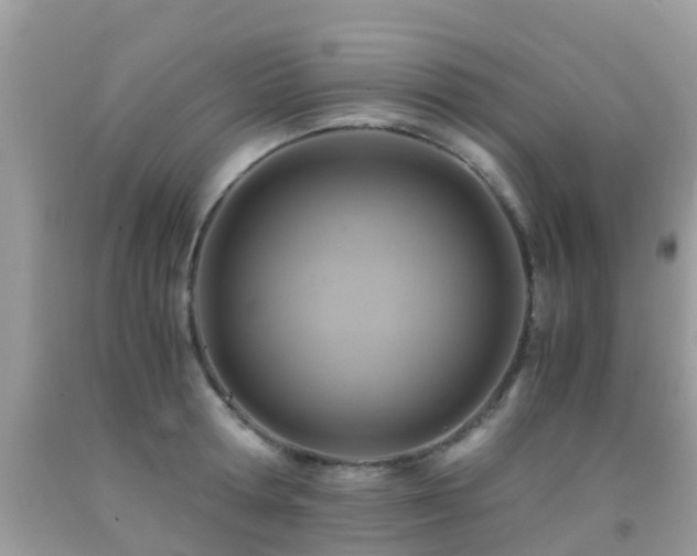 X0000091940802200709051521