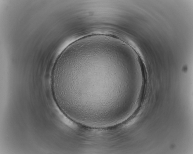 X0000091940803200709051521