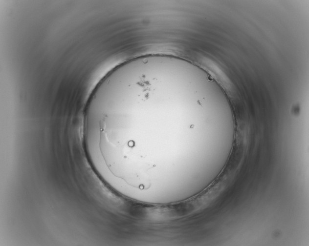 X0000091940804200709051521