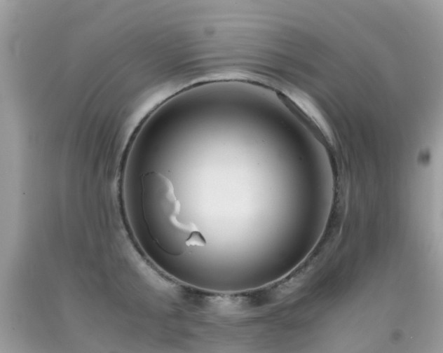 X0000091940805200709051521