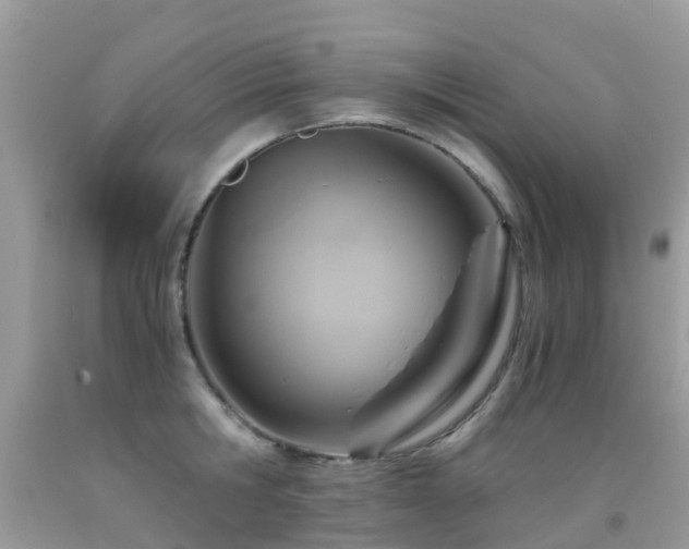 X0000091940806200709051521