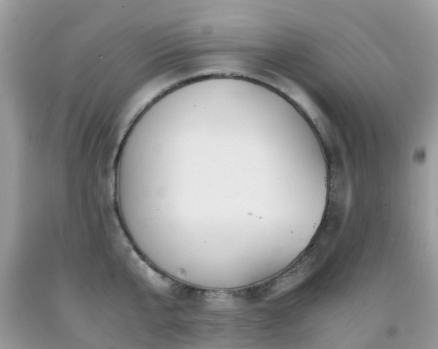 X0000091940807200709051521