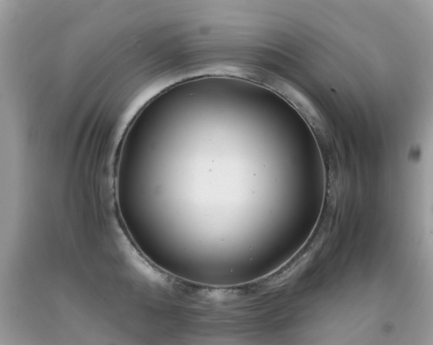 X0000091940808200709051521