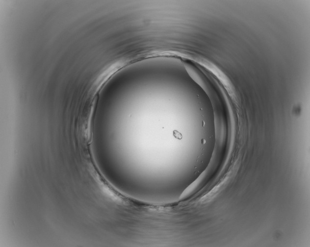 X0000091940809200709051521