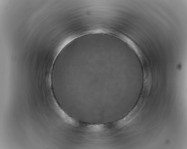 X0000091940810200709051521