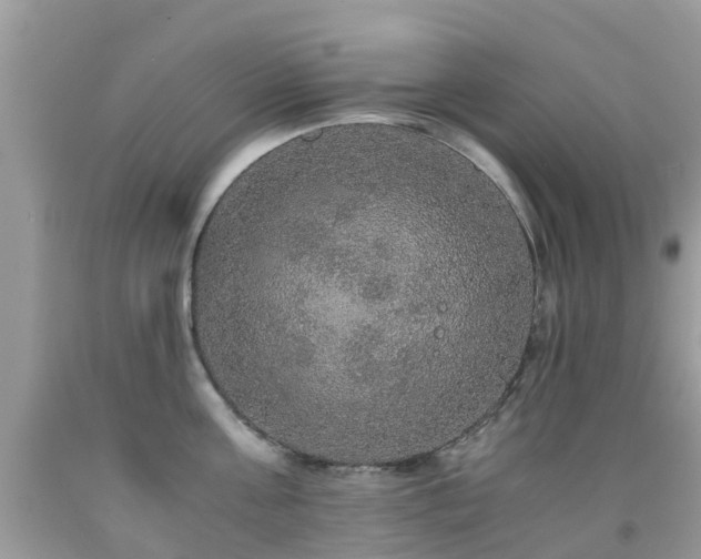 X0000091940811200709051521