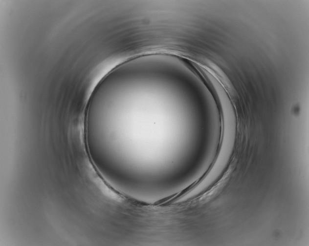 X0000091940812200709051521