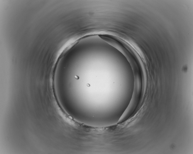 X0000091940813200709051521