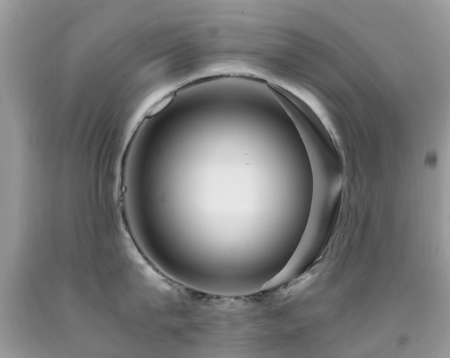 X0000091940815200709051521