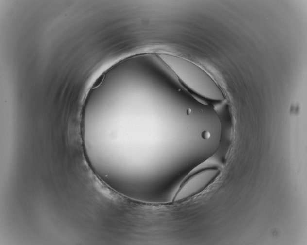 X0000091940816200709051521