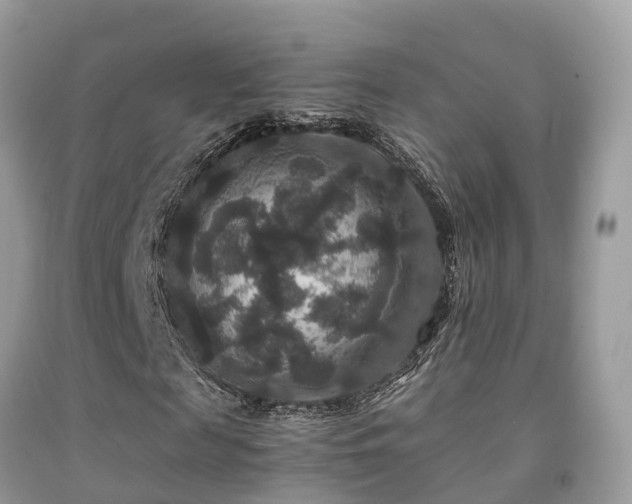 X0000091940817200709051520