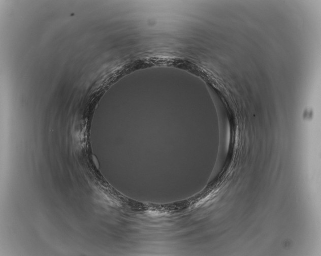 X0000091940818200709051520