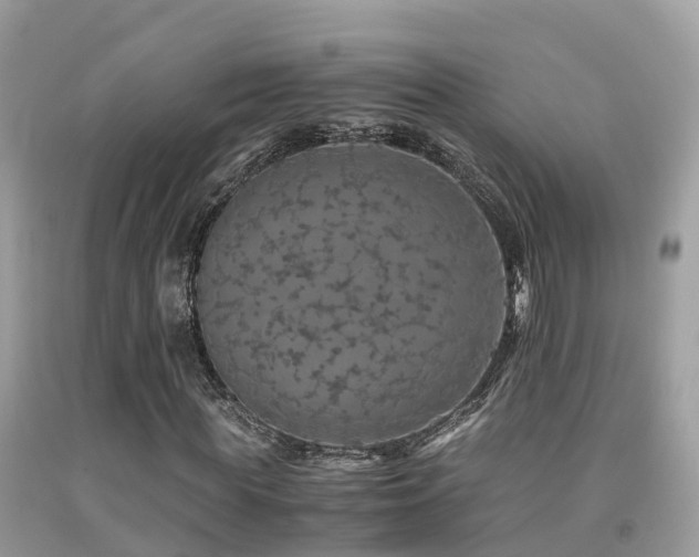 X0000091940819200709051520