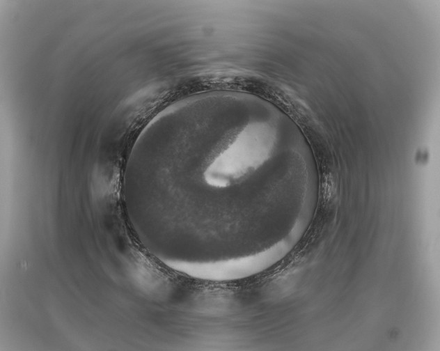 X0000091940820200709051520