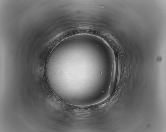 X0000091940821200709051520