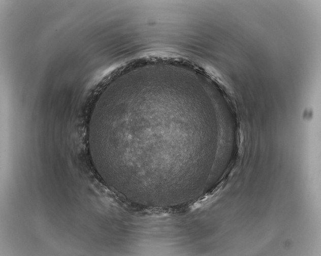 X0000091940822200709051520