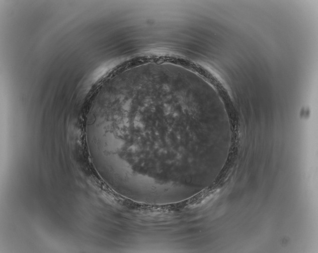 X0000091940823200709051520