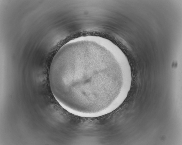 X0000091940824200709051520