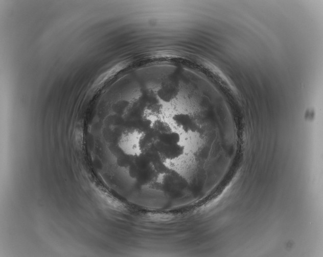 X0000091940825200709051520