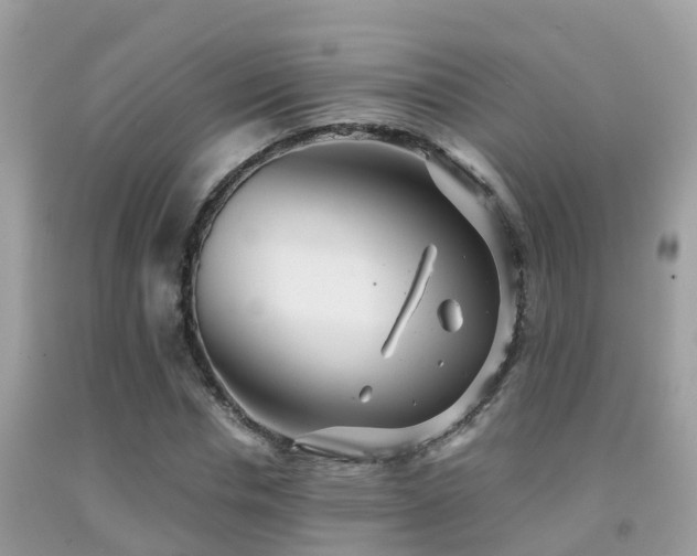 X0000091940826200709051520