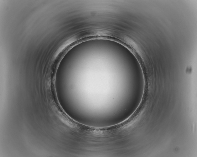 X0000091940827200709051520