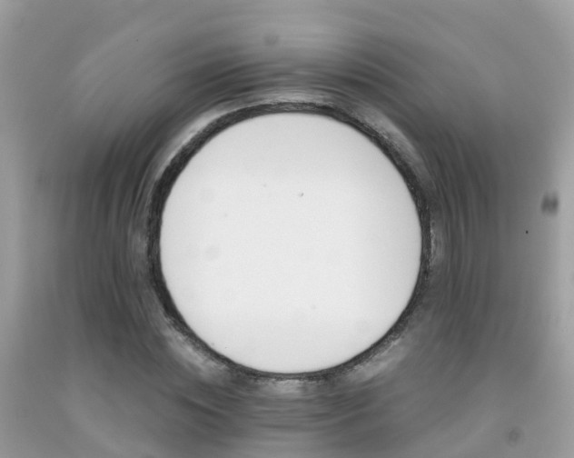 X0000091940828200709051520