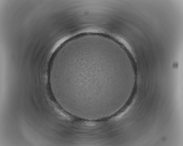 X0000091940829200709051520