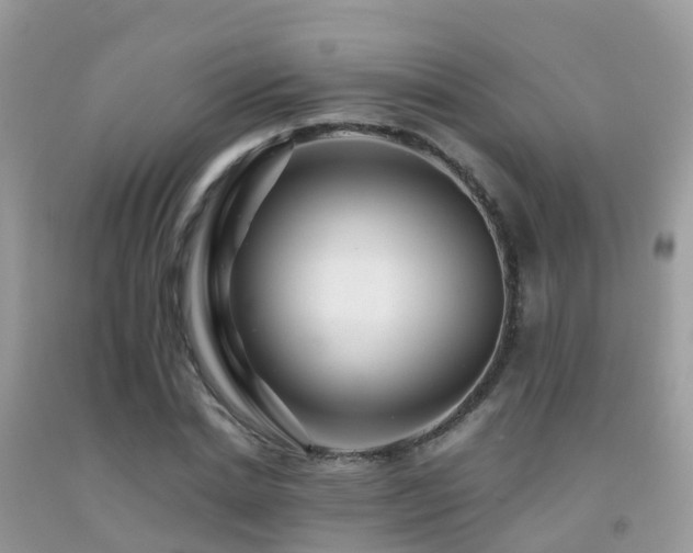 X0000091940830200709051520