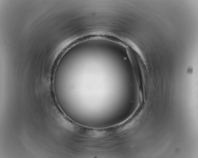 X0000091940831200709051520