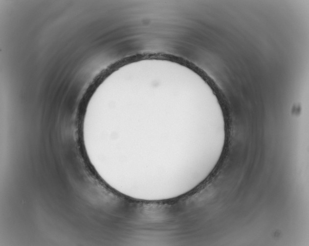 X0000091940832200709051521